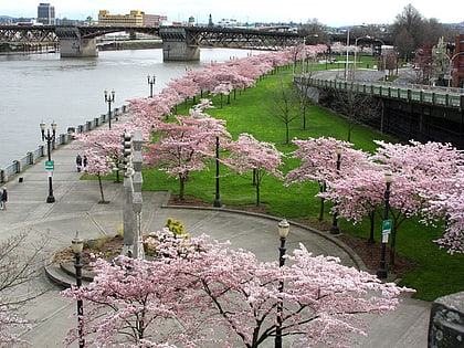 tom mccall waterfront park portland