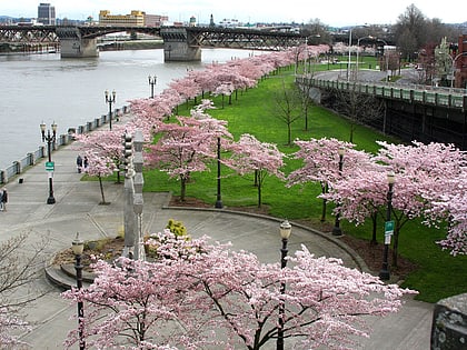 Tom McCall Waterfront Park