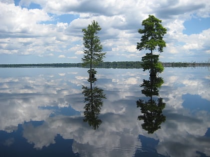 Great Dismal Swamp National Wildlife Refuge