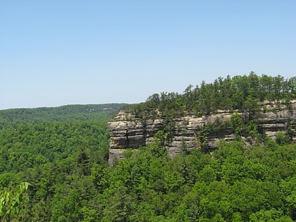 red river gorge foret nationale daniel boone
