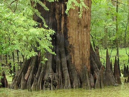 White River National Wildlife Refuge