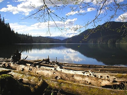 packwood lake gifford pinchot national forest