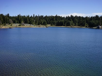 balsam forebay foret nationale de sierra