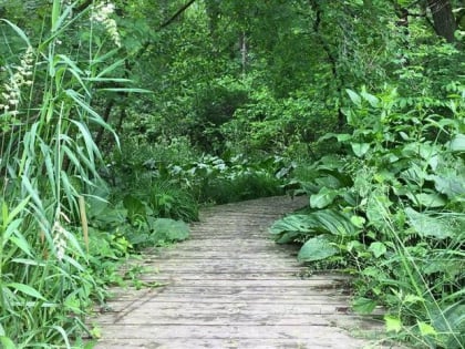 wissahickon valley watershed association ambler