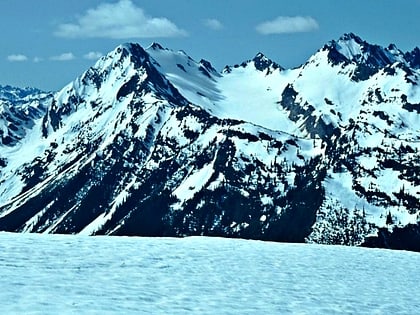 eel glacier parque nacional olympic