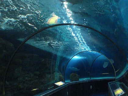 sea life minnesota aquarium bloomington