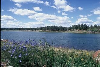 fool hollow lake foret nationale dapache sitgreaves