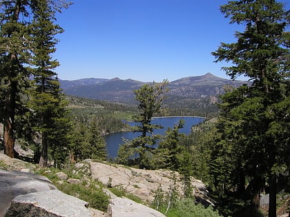 carson pass bosque nacional el dorado