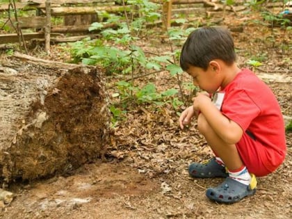 Friends of Hidden Oaks Nature Center