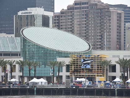 aquarium of the americas la nouvelle orleans