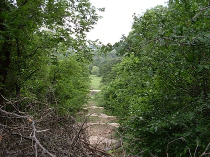 arbor hills nature preserve plano