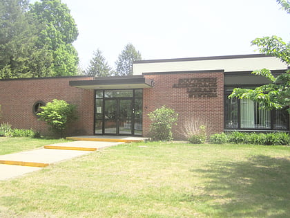 southern adirondack library system saratoga springs