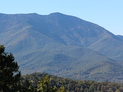 celo knob foret nationale de pisgah