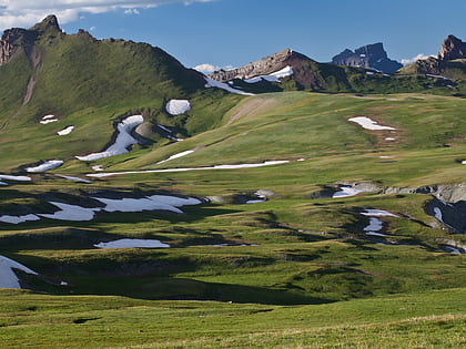 bosque nacional uncompahgre