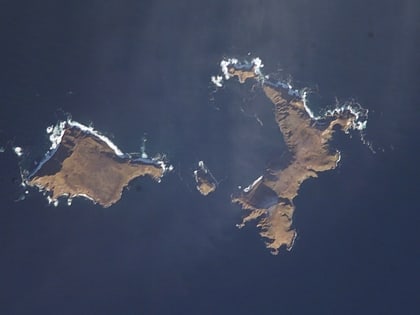 Davidof Island
