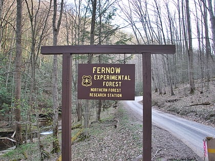 Fernow Experimental Forest