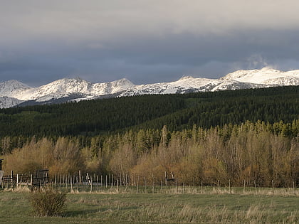 roosevelt national forest