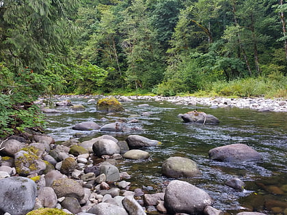 salmon huckleberry wilderness