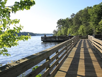 bosque nacional uwharrie