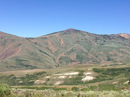 copper mountains foret nationale de humboldt toiyabe