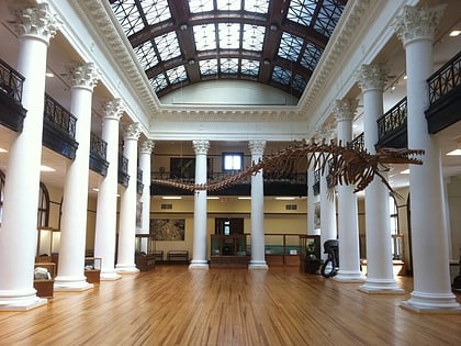 Museo de Historia Natural de Alabama