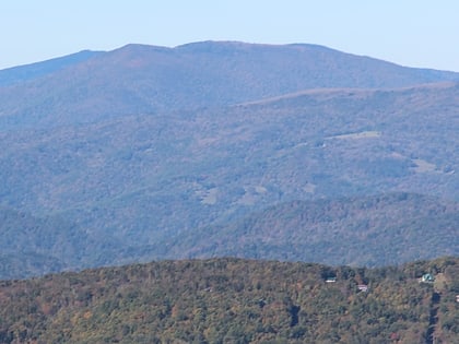 grassy ridge bald pisgah national forest