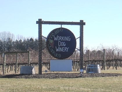 working dog winery municipio de robbinsville