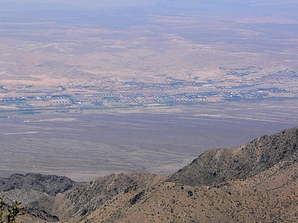 virgin valley mesquite