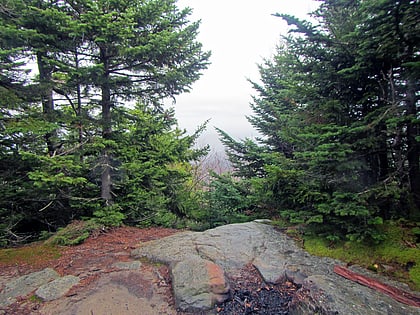 cornell mountain slide mountain wilderness area