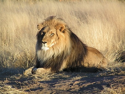 Parque botánico y zoológico de Nevada Meridional