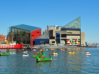 aquarium national de baltimore