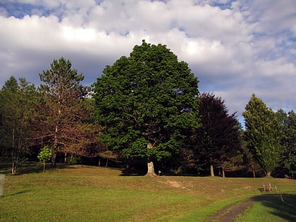 nannen arboretum ellicottville