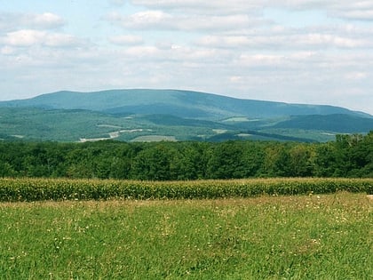 park stanowy blue knob