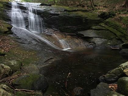 chapel brook ashfield