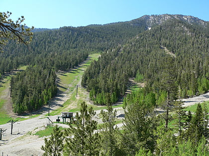 lee canyon ski and snowboard resort spring mountains national recreation area