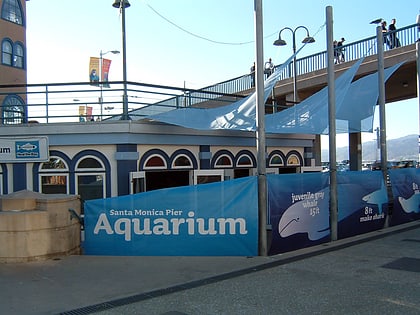 Santa Monica Pier Aquarium