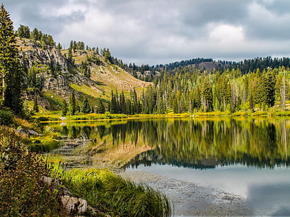 bosque nacional wasatch cache