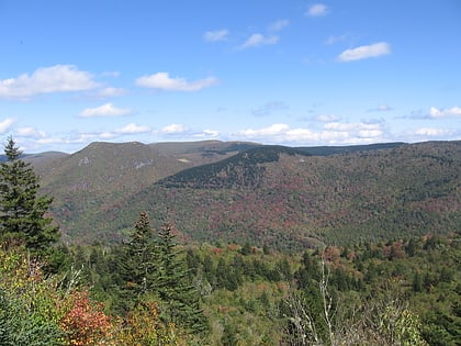 middle prong wilderness pisgah national forest