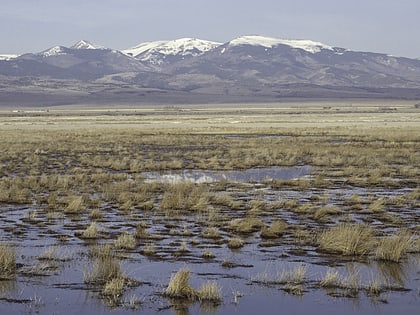 Monte Vista National Wildlife Refuge