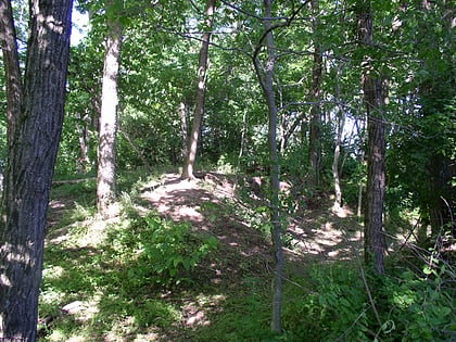 rowlandton mound site paducah