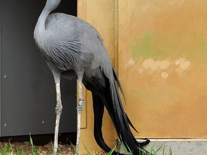 international crane foundation baraboo