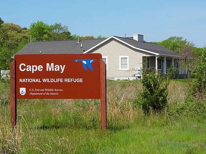 cape may national wildlife refuge