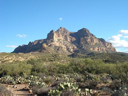 picketpost mountain tonto national forest