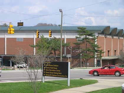 Varsity Gymnasium