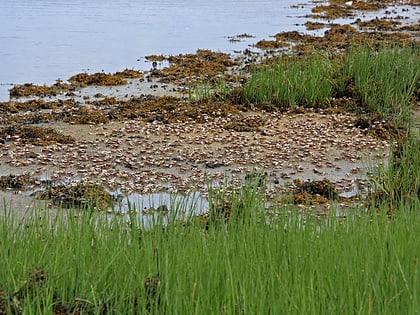 elizabeth a morton national wildlife refuge