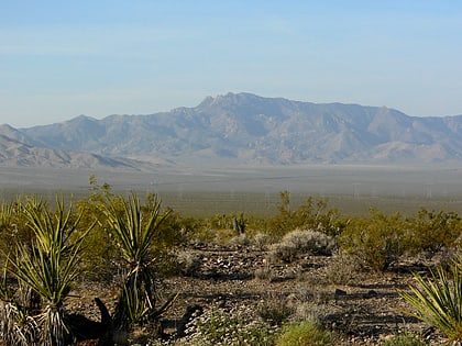 new york mountains mojave national preserve