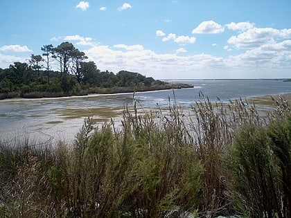 false cape state park virginia beach