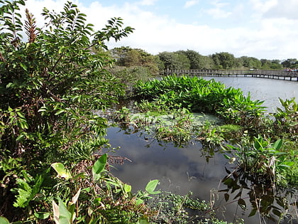 wakodahatchee wetlands delray beach