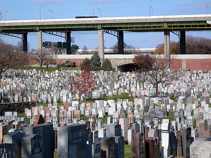calvary cemetery new york city