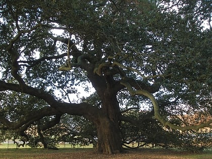 emancipation oak hampton
